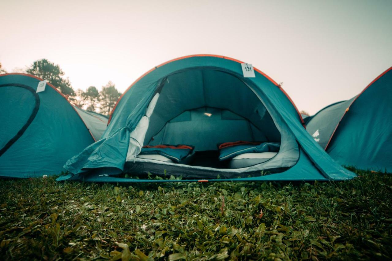 The Esn Kingsday Campsite Hotel Amsterdam Exterior foto